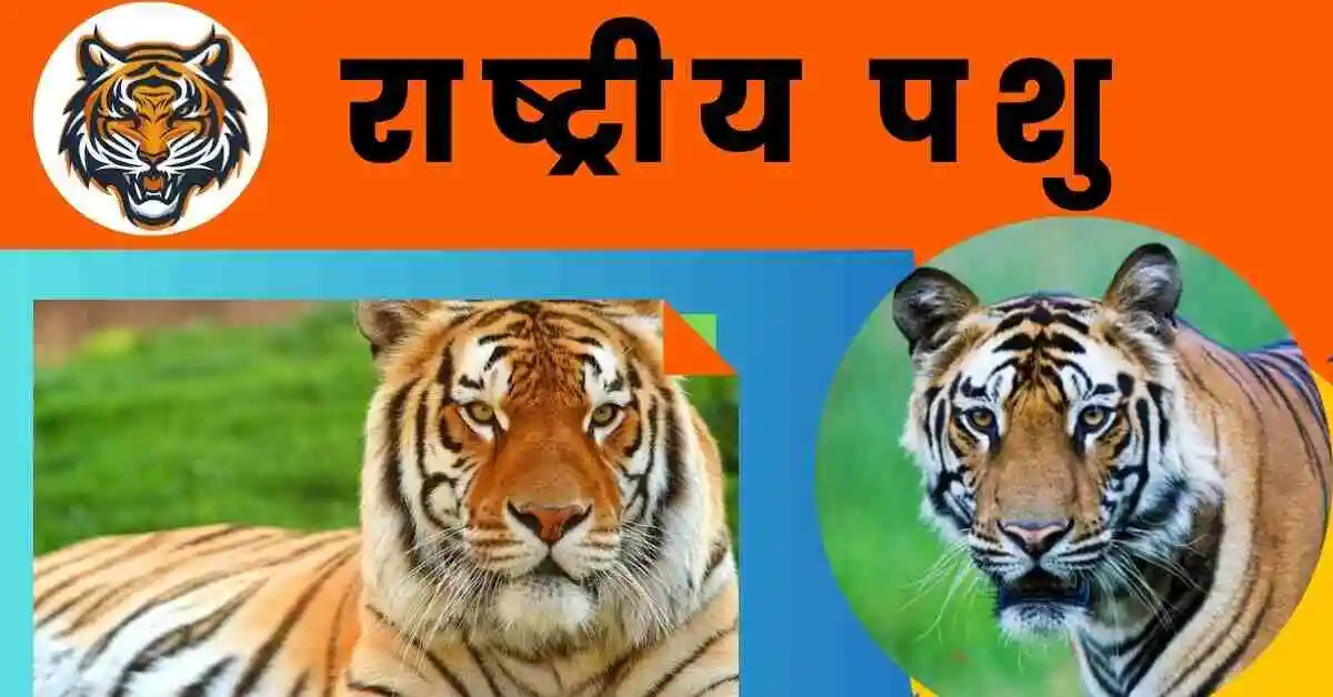 भारत का राष्ट्रीय पशु बाघ 2024 National Animal of India in Hindi